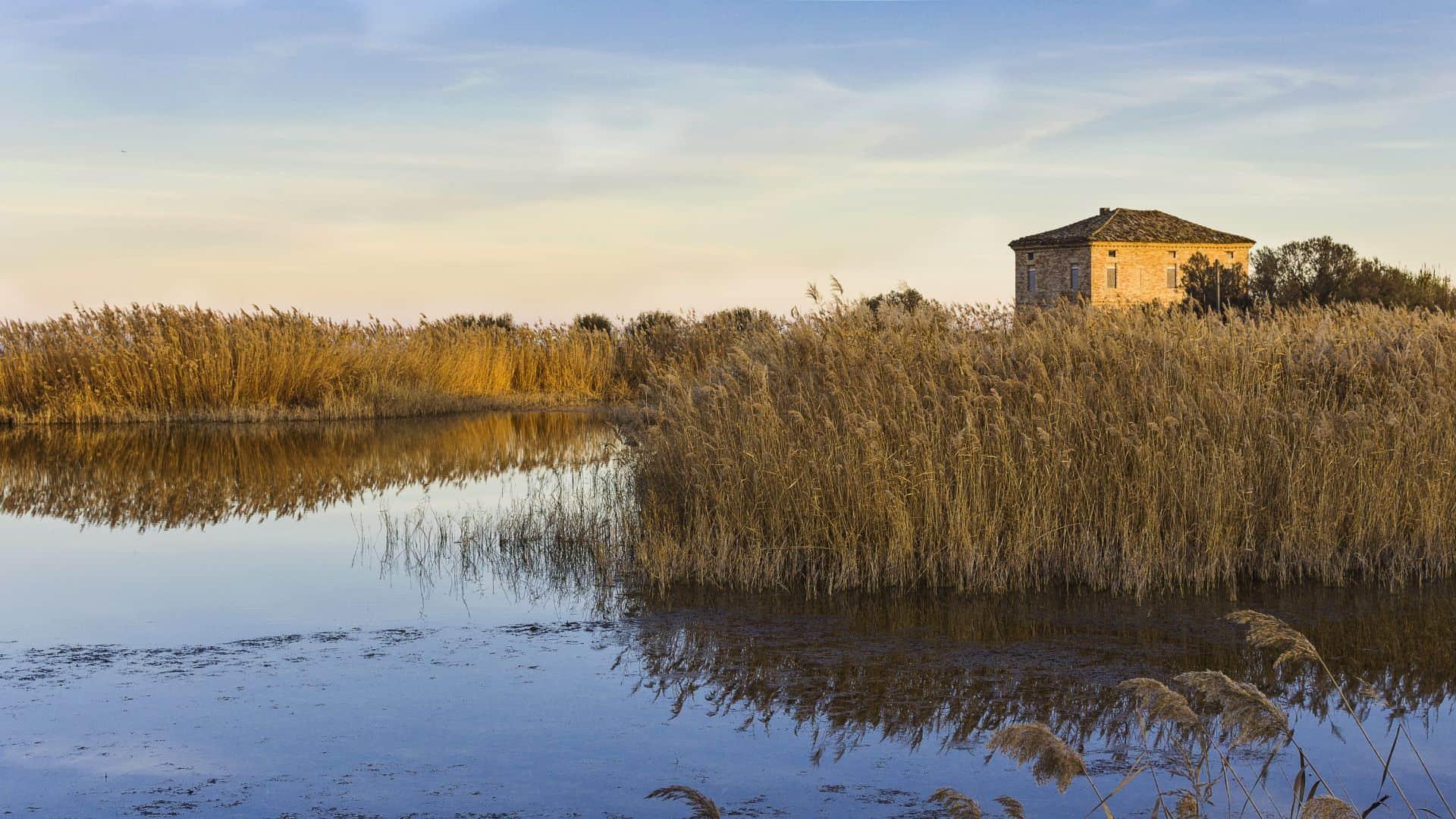 Veduta della Riserva Naturale della Sentina con dune
